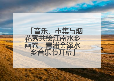 音乐、市集与烟花秀共绘江南水乡画卷，青浦金泽水乡音乐节开幕