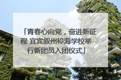 青春心向党，奋进新征程 宜宾叙州樟海学校举行新团员入团仪式