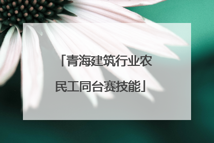 青海建筑行业农民工同台赛技能