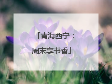 青海西宁：周末享书香