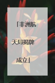 非洲航天局揭牌成立