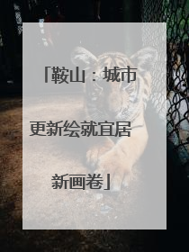 鞍山：城市更新绘就宜居新画卷
