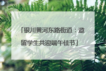 银川黄河东路街道：邀留学生共迎端午佳节