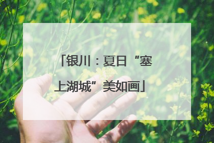 银川：夏日“塞上湖城”美如画