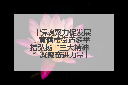 铸魂聚力促发展，黄鹤楼街道多举措弘扬“三大精神”凝聚奋进力量