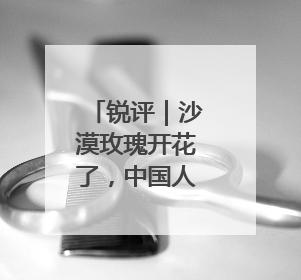 锐评｜沙漠玫瑰开花了，中国人的浪漫叫“担当”