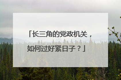 长三角的党政机关，如何过好紧日子？