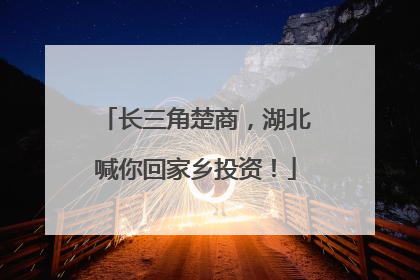 长三角楚商，湖北喊你回家乡投资！