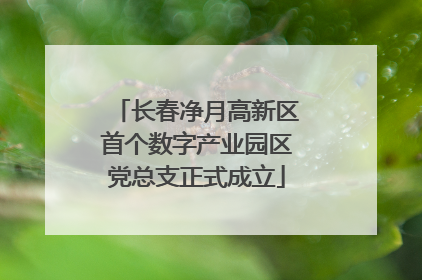 长春净月高新区首个数字产业园区党总支正式成立