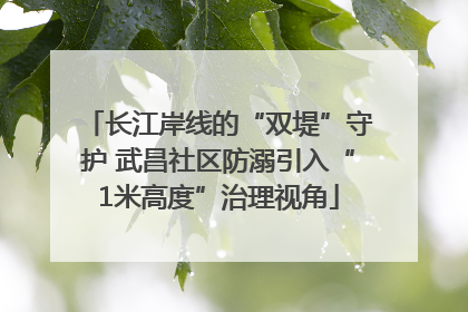 长江岸线的“双堤”守护 武昌社区防溺引入“1米高度”治理视角