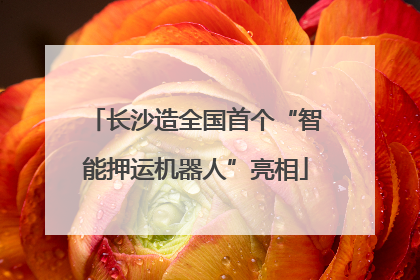 长沙造全国首个“智能押运机器人”亮相