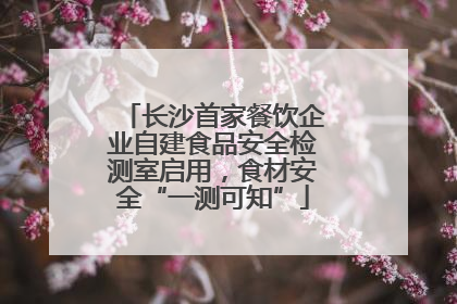 长沙首家餐饮企业自建食品安全检测室启用，食材安全“一测可知”