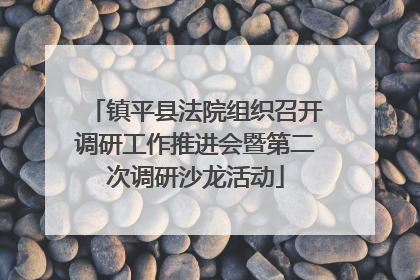 镇平县法院组织召开调研工作推进会暨第二次调研沙龙活动
