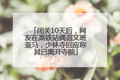 闭关10天后，网友在高铁站偶遇文班亚马，少林寺回应称其已离开寺院
