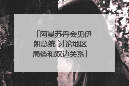 阿曼苏丹会见伊朗总统 讨论地区局势和双边关系