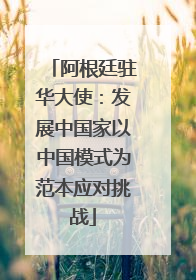 阿根廷驻华大使：发展中国家以中国模式为范本应对挑战