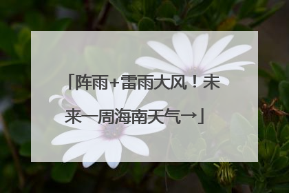 阵雨+雷雨大风！未来一周海南天气→