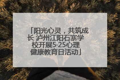 阳光心灵，共筑成长 泸州江阳石寨学校开展5·25心理健康教育日活动