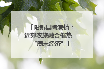 阳新县陶港镇：近郊农旅融合催热“周末经济”