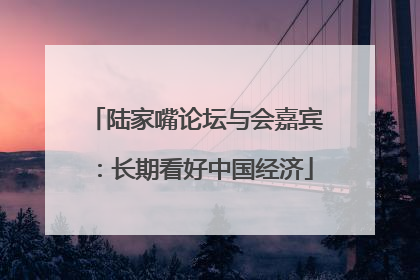 陆家嘴论坛与会嘉宾：长期看好中国经济