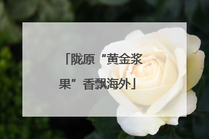 陇原“黄金浆果”香飘海外