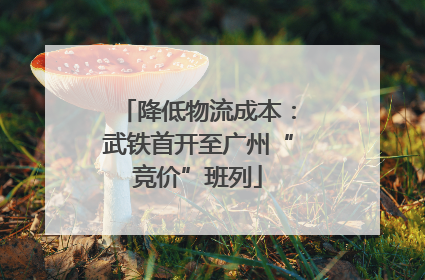 降低物流成本：武铁首开至广州“竞价”班列