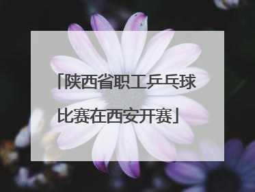 陕西省职工乒乓球比赛在西安开赛