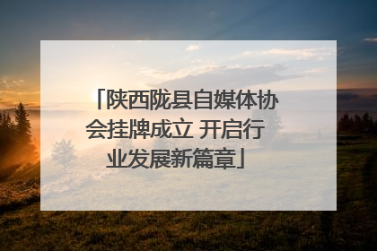 陕西陇县自媒体协会挂牌成立 开启行业发展新篇章
