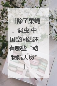 除了果蝇、涡虫 中国空间站还有哪些“动物航天员”