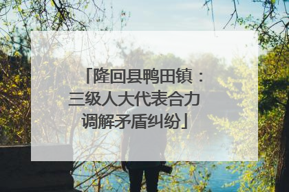 隆回县鸭田镇：三级人大代表合力调解矛盾纠纷
