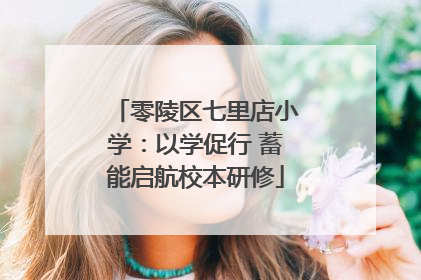 零陵区七里店小学：以学促行 蓄能启航校本研修