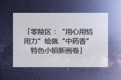 零陵区：“用心用情用力”绘就“中药香”特色小镇新画卷