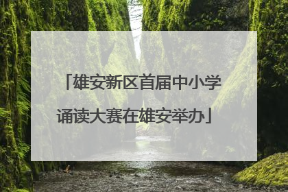 雄安新区首届中小学诵读大赛在雄安举办