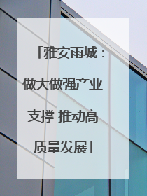 雅安雨城：做大做强产业支撑 推动高质量发展