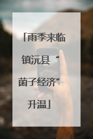 雨季来临 镇沅县“菌子经济”升温