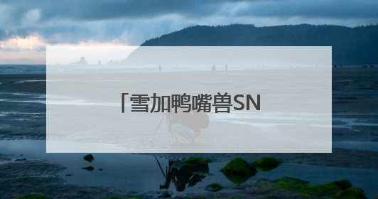 雪加鸭嘴兽SNOWPLUS，卷起潮流风暴！