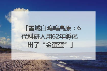 雪域白鸡鸣高原：6代科研人用62年孵化出了“金蛋蛋”