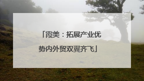 霞美：拓展产业优势内外贸双翼齐飞