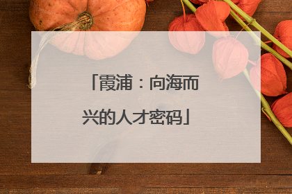 霞浦：向海而兴的人才密码