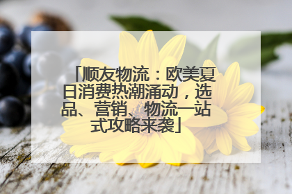 顺友物流：欧美夏日消费热潮涌动，选品、营销、物流一站式攻略来袭
