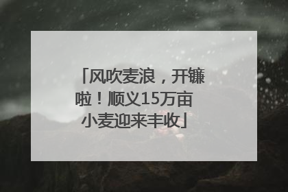 风吹麦浪，开镰啦！顺义15万亩小麦迎来丰收