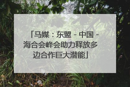 马媒：东盟－中国－海合会峰会助力释放多边合作巨大潜能