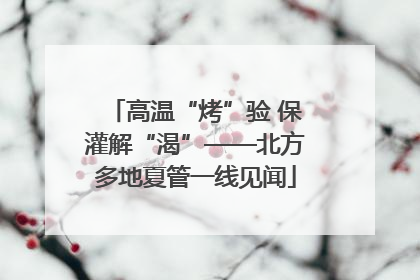 高温“烤”验 保灌解“渴”——北方多地夏管一线见闻