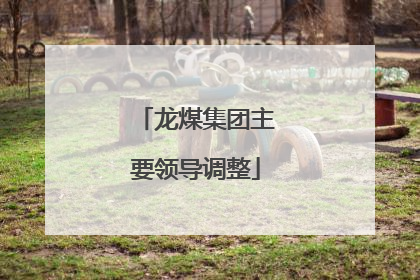 龙煤集团主要领导调整