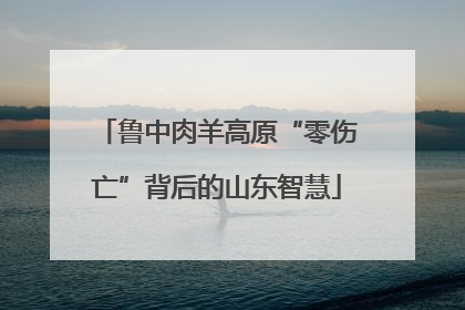 鲁中肉羊高原“零伤亡”背后的山东智慧