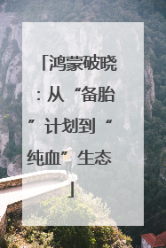 鸿蒙破晓：从“备胎”计划到“纯血”生态