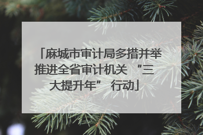 麻城市审计局多措并举推进全省审计机关 “三大提升年” 行动