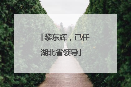 黎东辉，已任湖北省领导