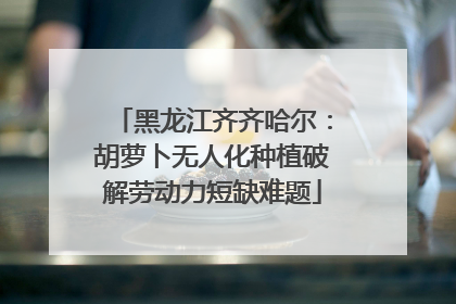 黑龙江齐齐哈尔：胡萝卜无人化种植破解劳动力短缺难题
