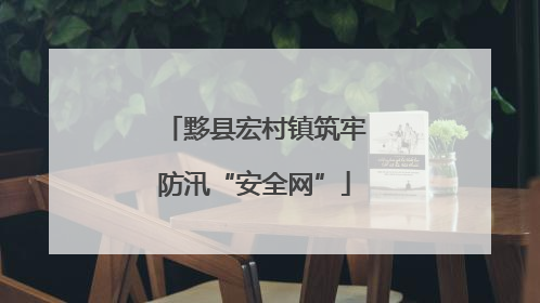 黟县宏村镇筑牢防汛“安全网”